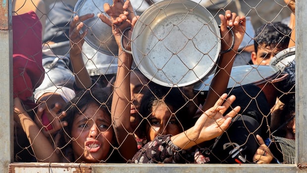 Over 100 aid agencies call for Gaza ceasefire, warn of starvation risks