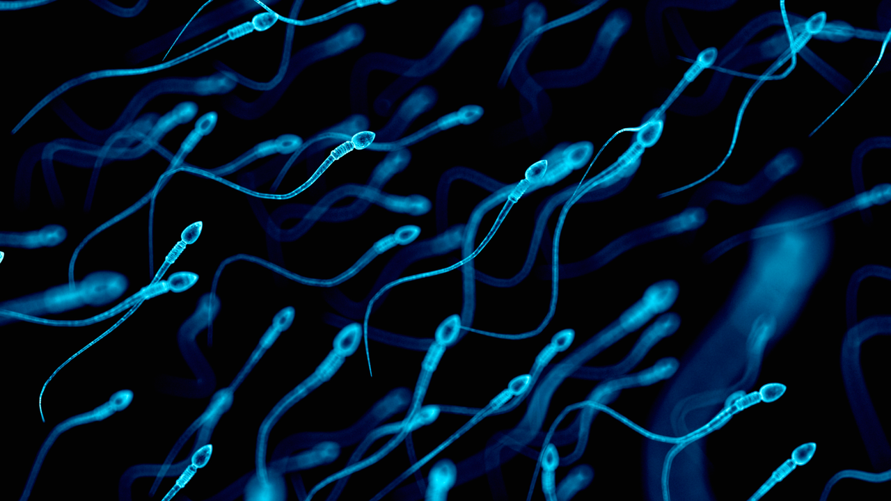 Diagnostic dilemma: Rare semen allergy may have caused woman’s infertility