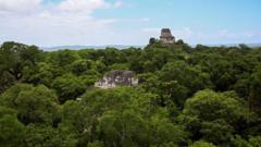 Skeleton in Guatemalan jungle likely US birdwatcher missing since 2023