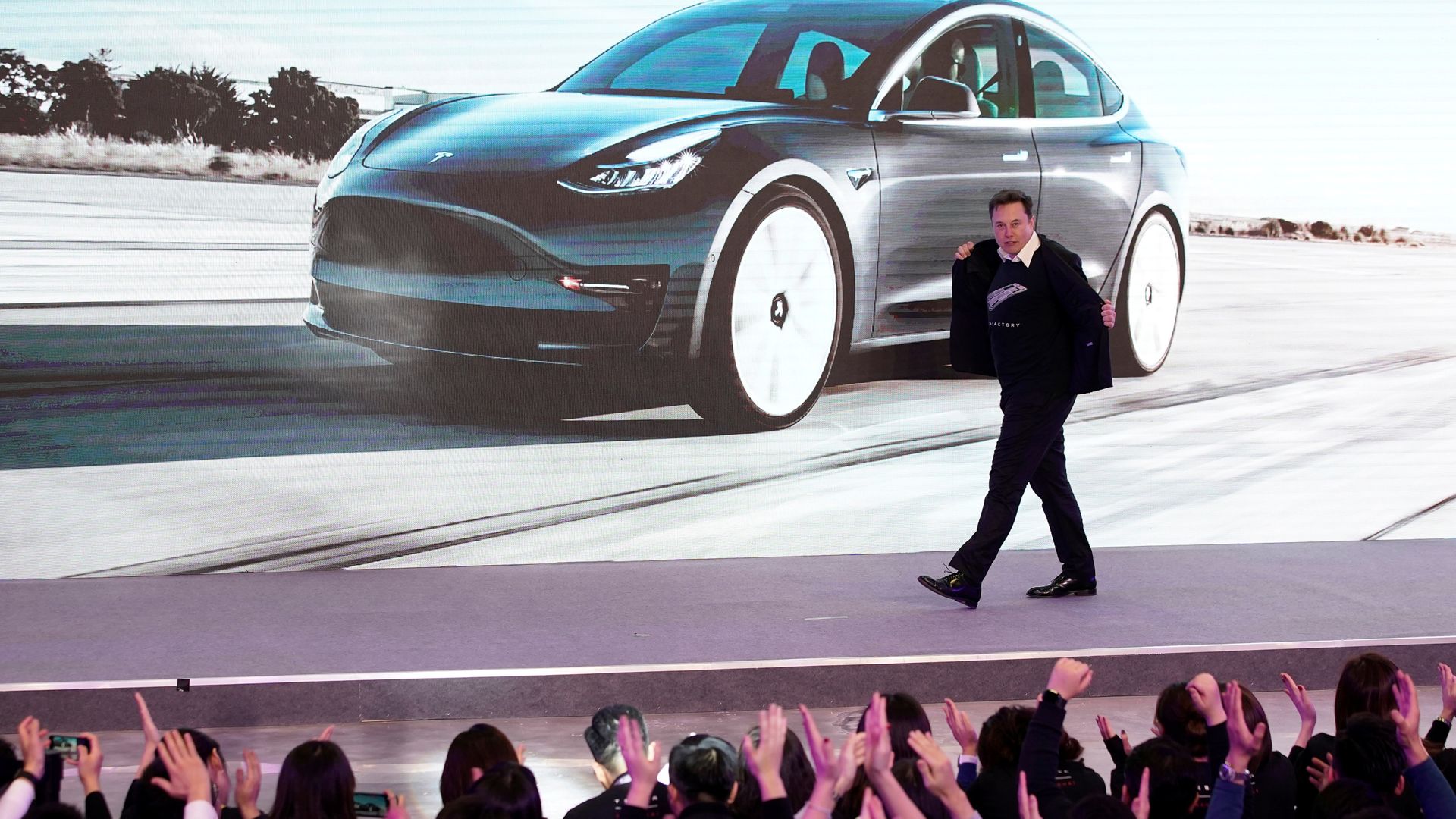Tesla looks to cheaper model as revenue suffers worst drop in over a decade