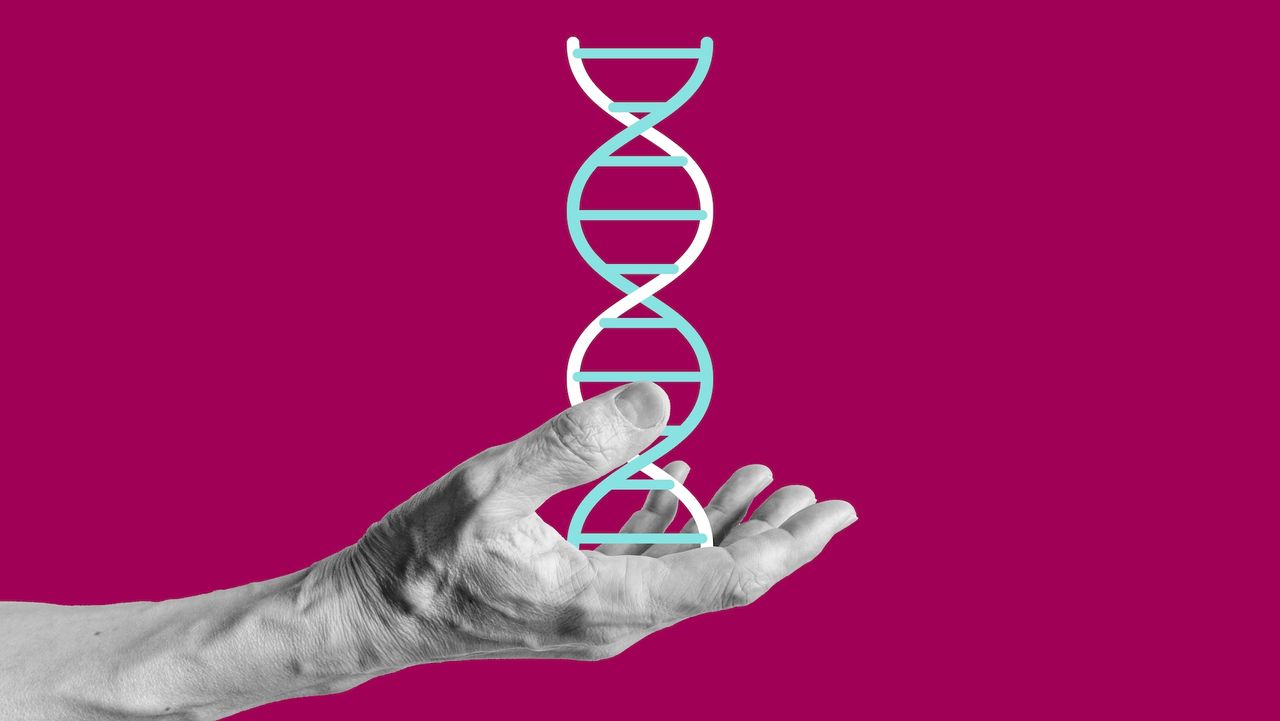 Best-ever map of the human genome sheds light on ‘jumping genes,’ ‘junk DNA’ and more