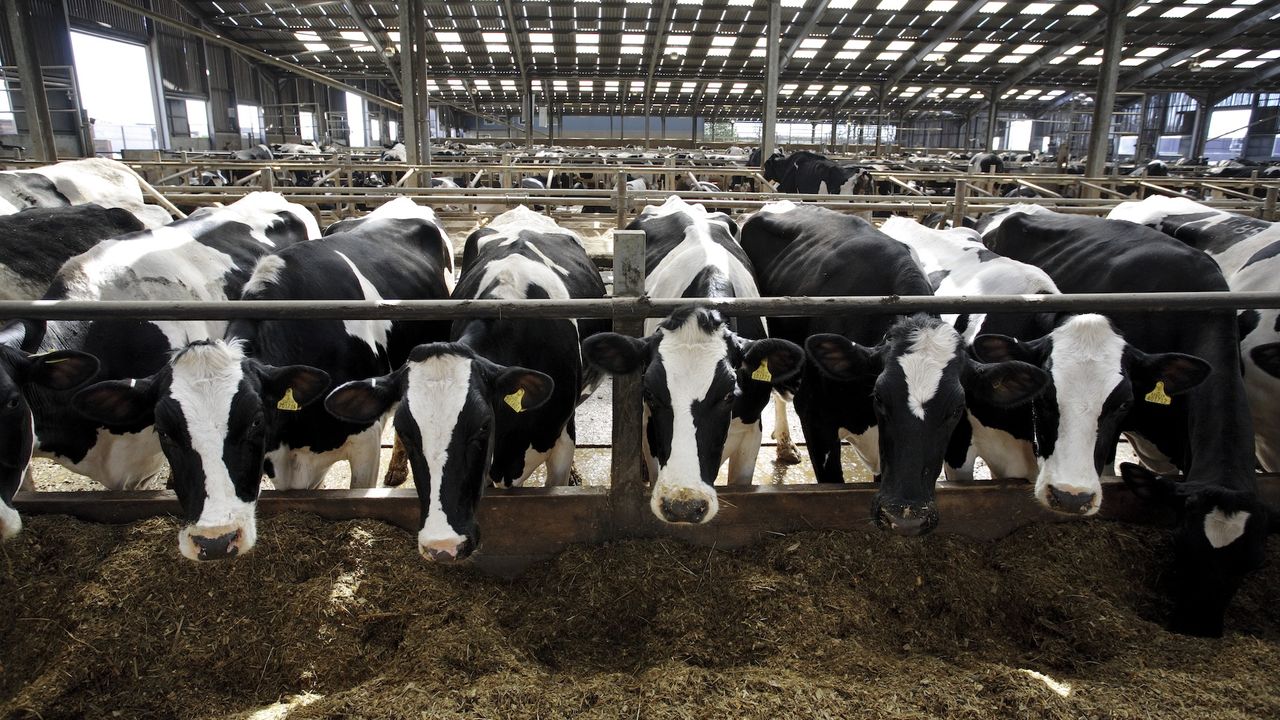 New report details one of the biggest raw milk-related outbreaks in recent US history