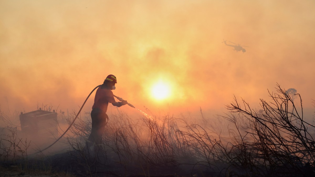 Athens suburb residents told to evacuate as wildfires in Greece spread