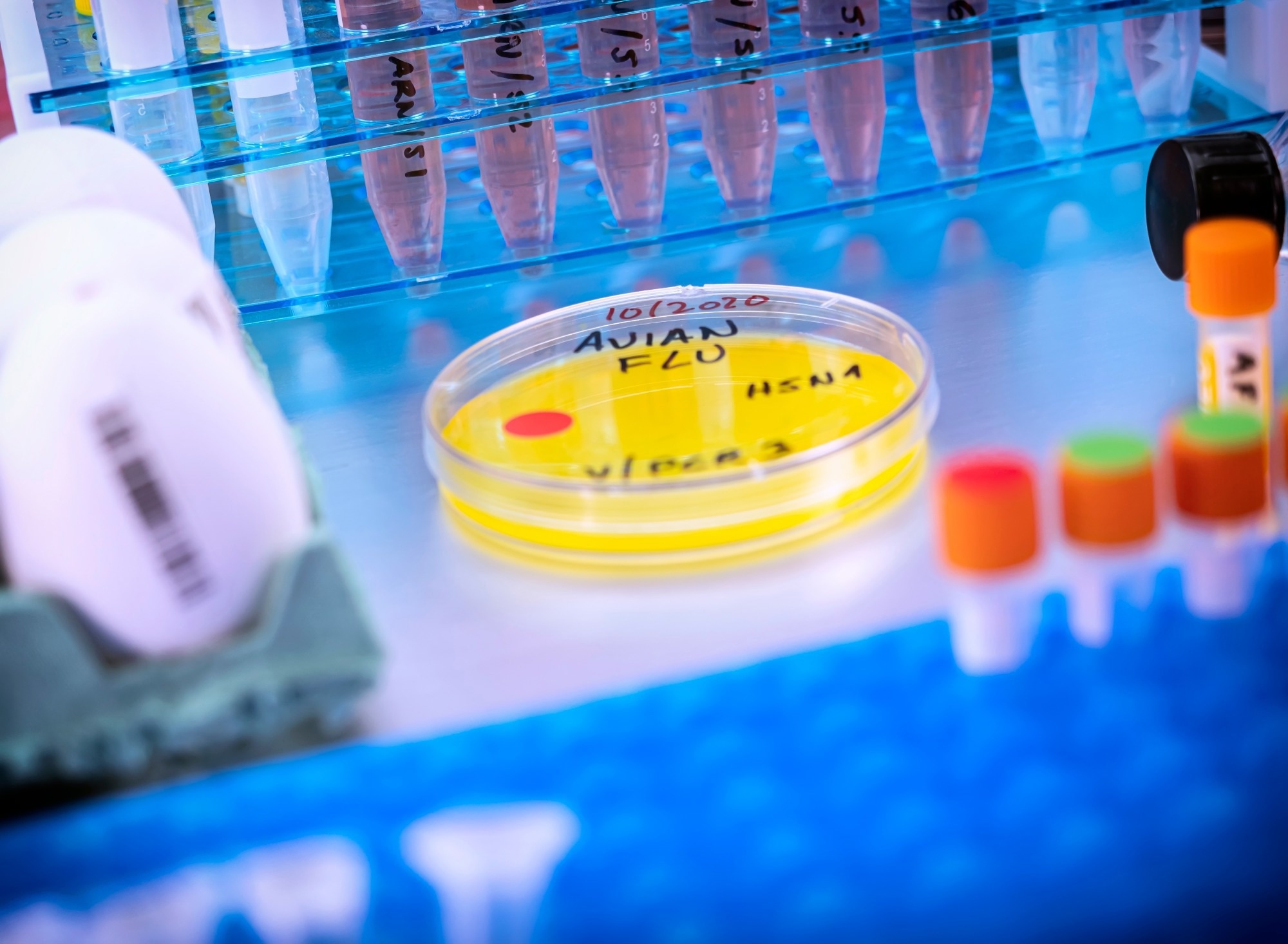Study finds past H1N1 exposure shields animals from deadly H5N1