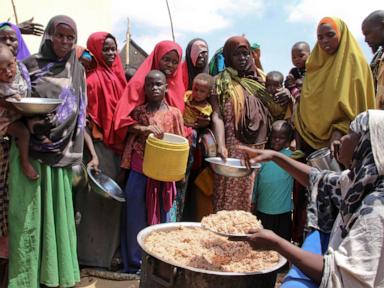 UN report reveals alarming rise in Africa’s food insecurity despite global improvements