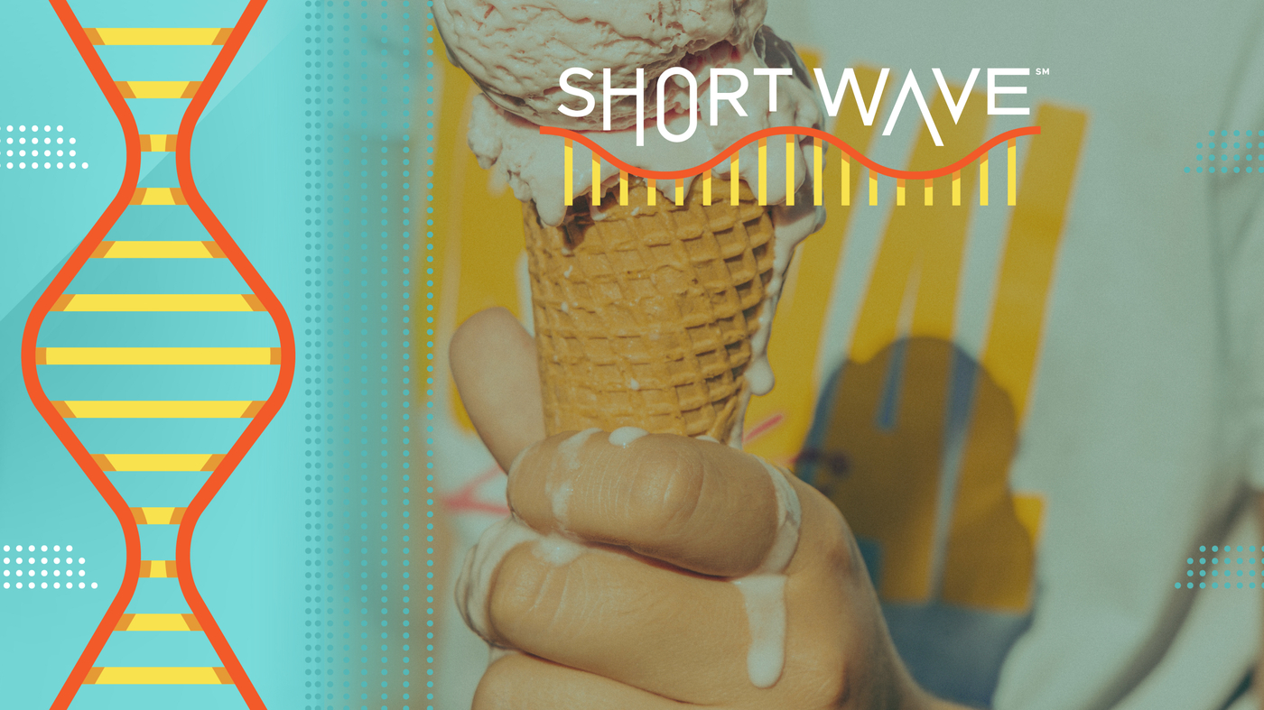Summers are getting hotter. Here’s how experts say to cope with it