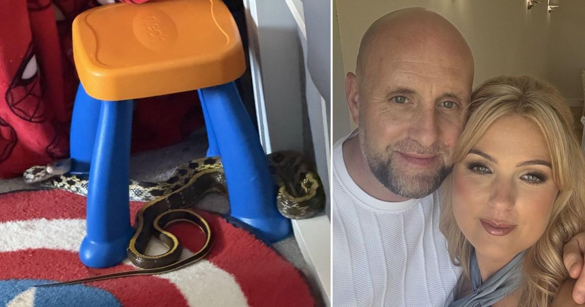 Girl, 3, unaware 7ft constrictor snake was slithering in her bedroom while she played