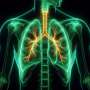 Higher ultra processed food intake linked to increased lung cancer risk