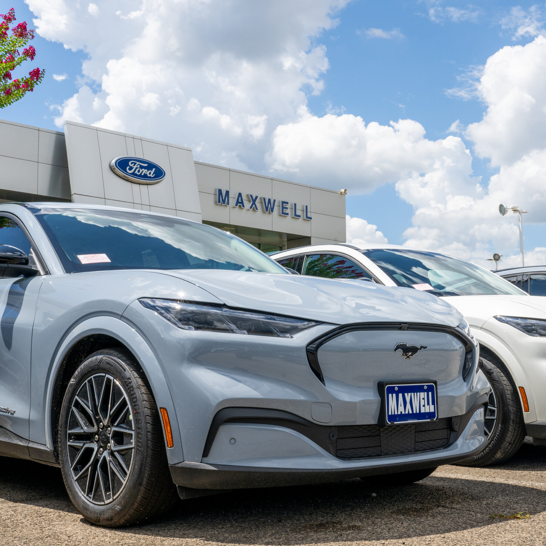 Ford Is Latest Carmaker to Blame Tariffs for Profit Slump