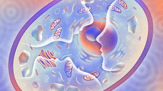 What Can a Cell Remember?