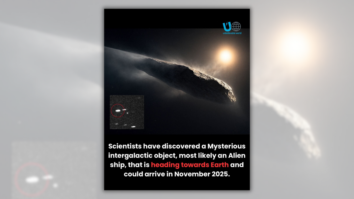 Probing claim that interstellar object is ‘most likely’ an alien ship heading towards Earth