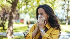 Why are pollen levels making hay fever so bad this year?