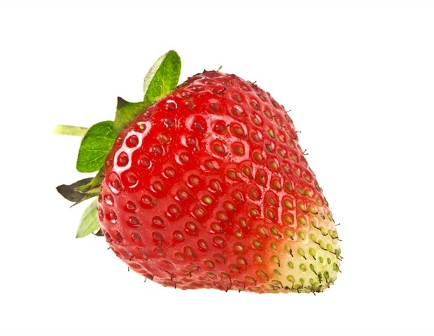 Mapping microbiomes across the food system to restore health