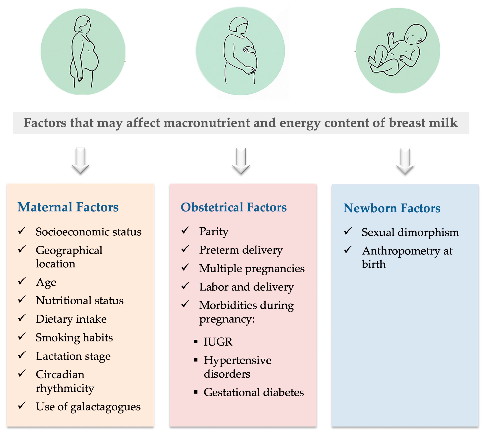 Can your diet and health change your breast milk? Review uncovers the key maternal and birth factors