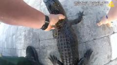 Watch: Florida police officer removes alligator from family’s pool with bare hands