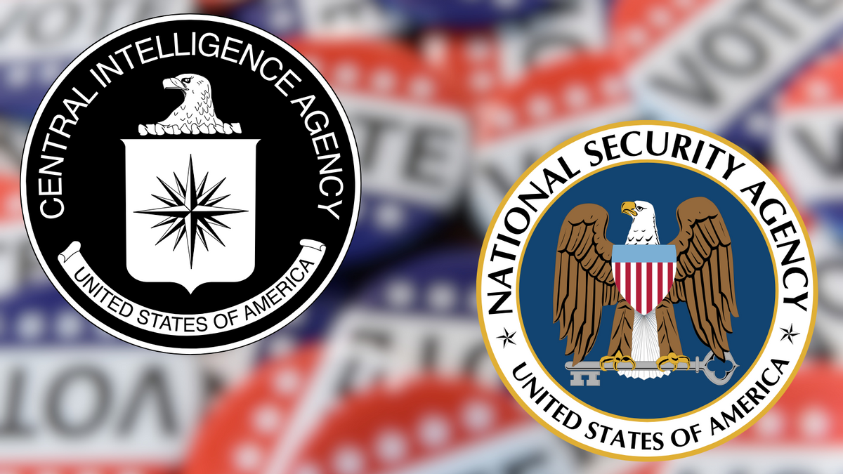 Inspecting report on ex-CIA whistleblower who allegedly said NSA audit proved Harris won 2024 election