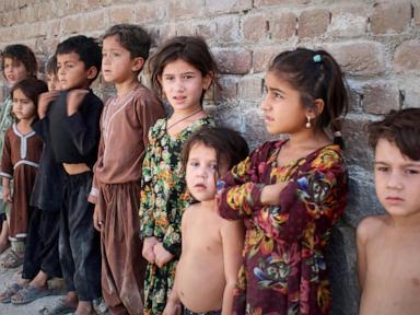 Polio nearly beaten, but fake records, weak vaccine and missteps fuel its return