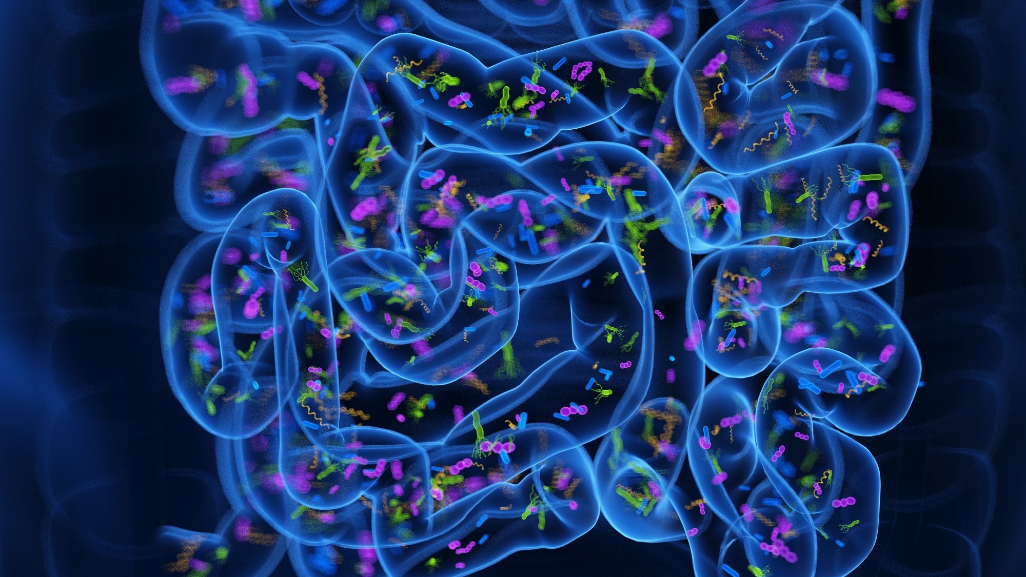 Fecal transplant may cut infections in long-term care patients