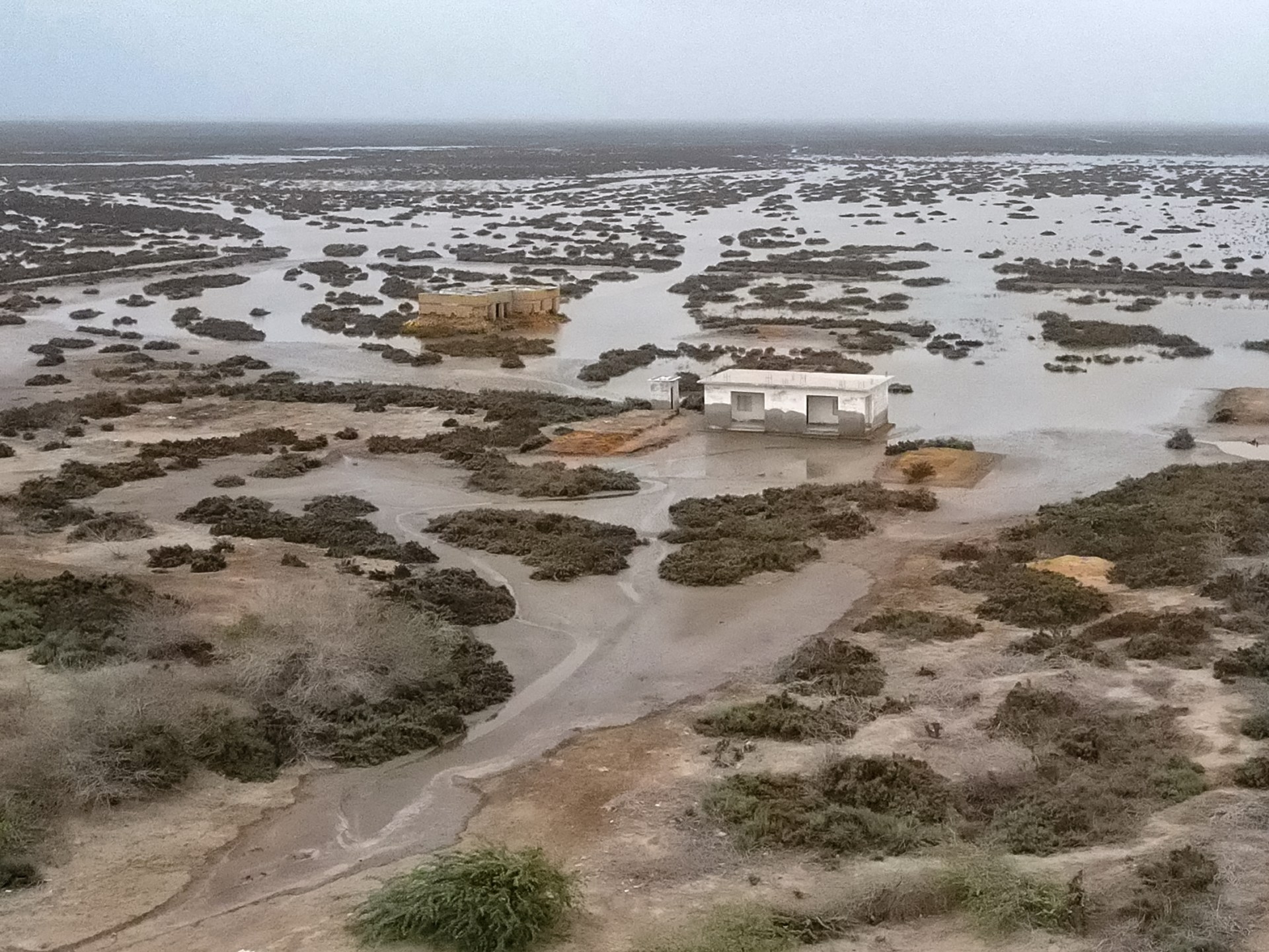 ‘Water has surrounded us’: The slow death of Pakistan’s Indus delta