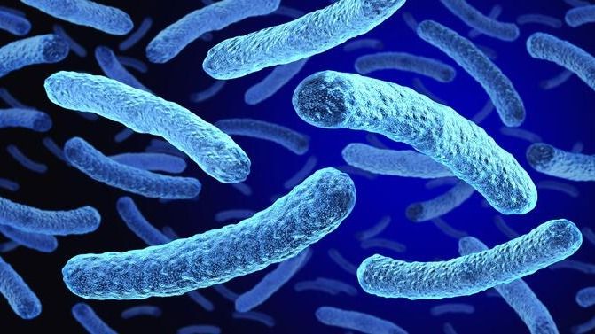 2 dead and 58 infected amid bacterial outbreak in NYC