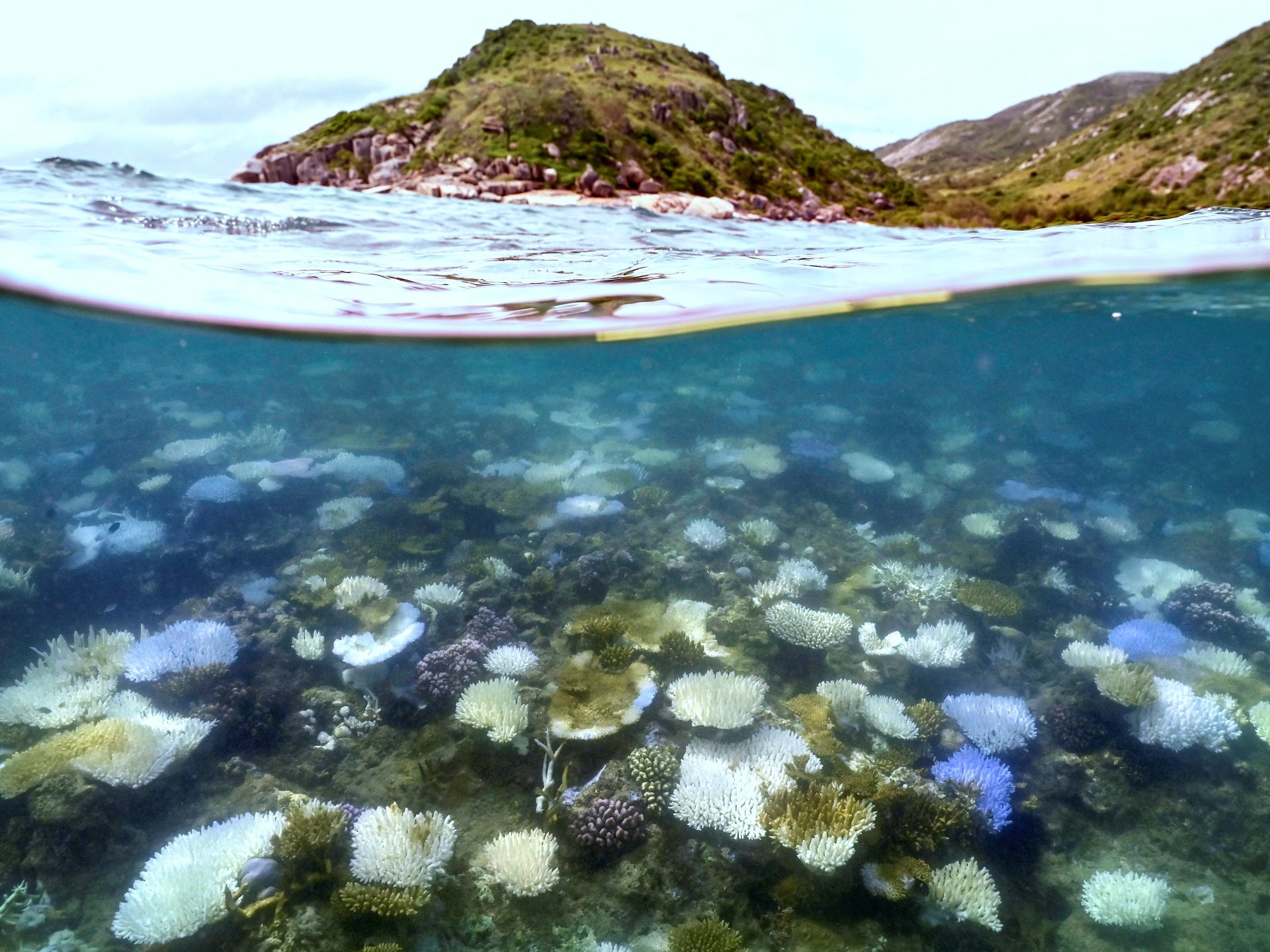 Australia’s Great Barrier Reef hit by record bleaching as oceans warm