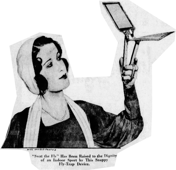 Mid-Air Fly Swatter