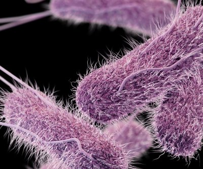 Pistachios, Dubai Chocolate linked to Canadian salmonella outbreak
