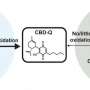 Vaping cannabinoid mixtures produces a chemical that destroys human tissue, research reveals