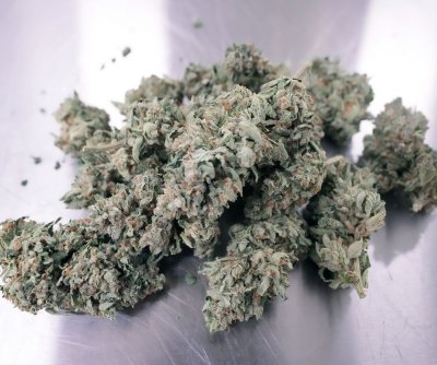 Trump might hasten marijuana reclassification