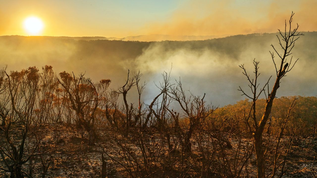 ‘Like a creeping mold that’s spreading across the landscape’: Separate dry areas around the world are merging into ‘mega-drying’ regions at an alarming rate, study finds