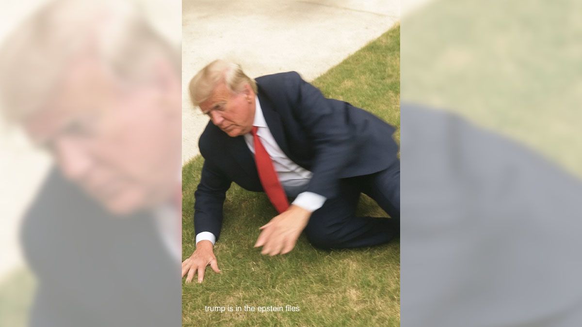 Trump fell, as shown by this image?