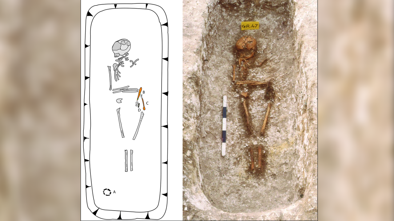1,300-year-old skeletons found in England had grandparents from sub-Saharan Africa, DNA studies reveal