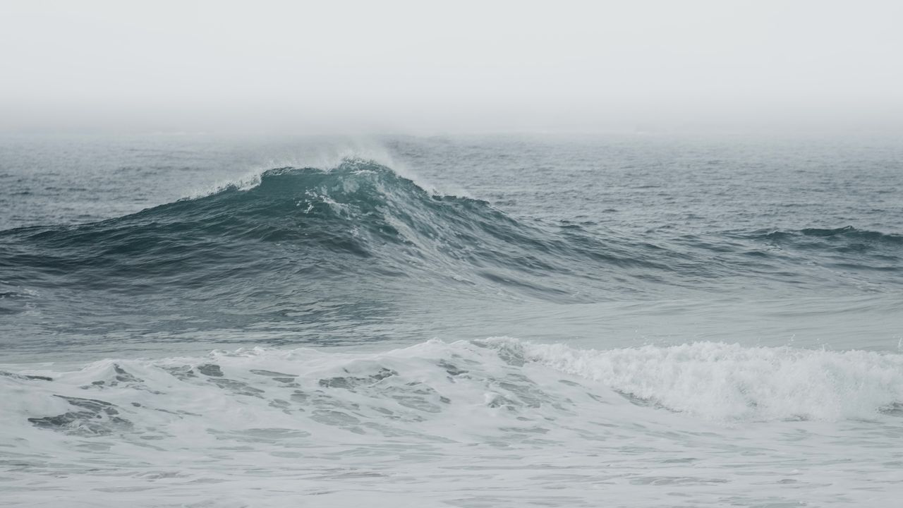 ‘Rogue waves’ can be 65 feet tall, but they aren’t ‘freak occurrences,’ data from North Sea reveals