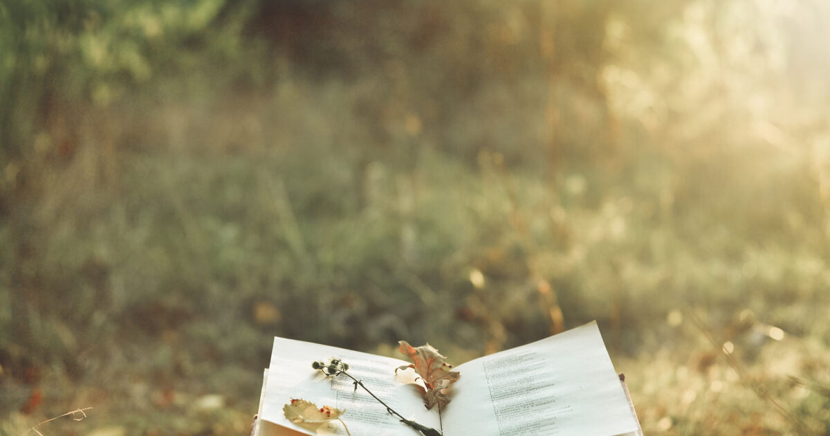 11 gay poets you need to know about