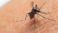 UK cases of mosquito-borne virus more than double