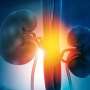 Dietary patterns linked to chronic kidney disease risk