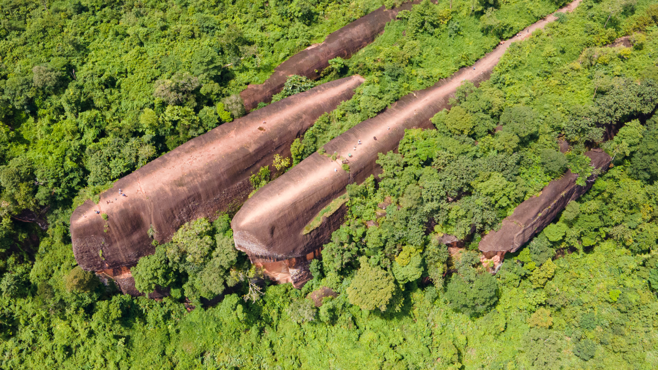 Three Whale Rock: Thailand’s 75-million-year-old stone leviathans that look like they’re floating in a sea of trees