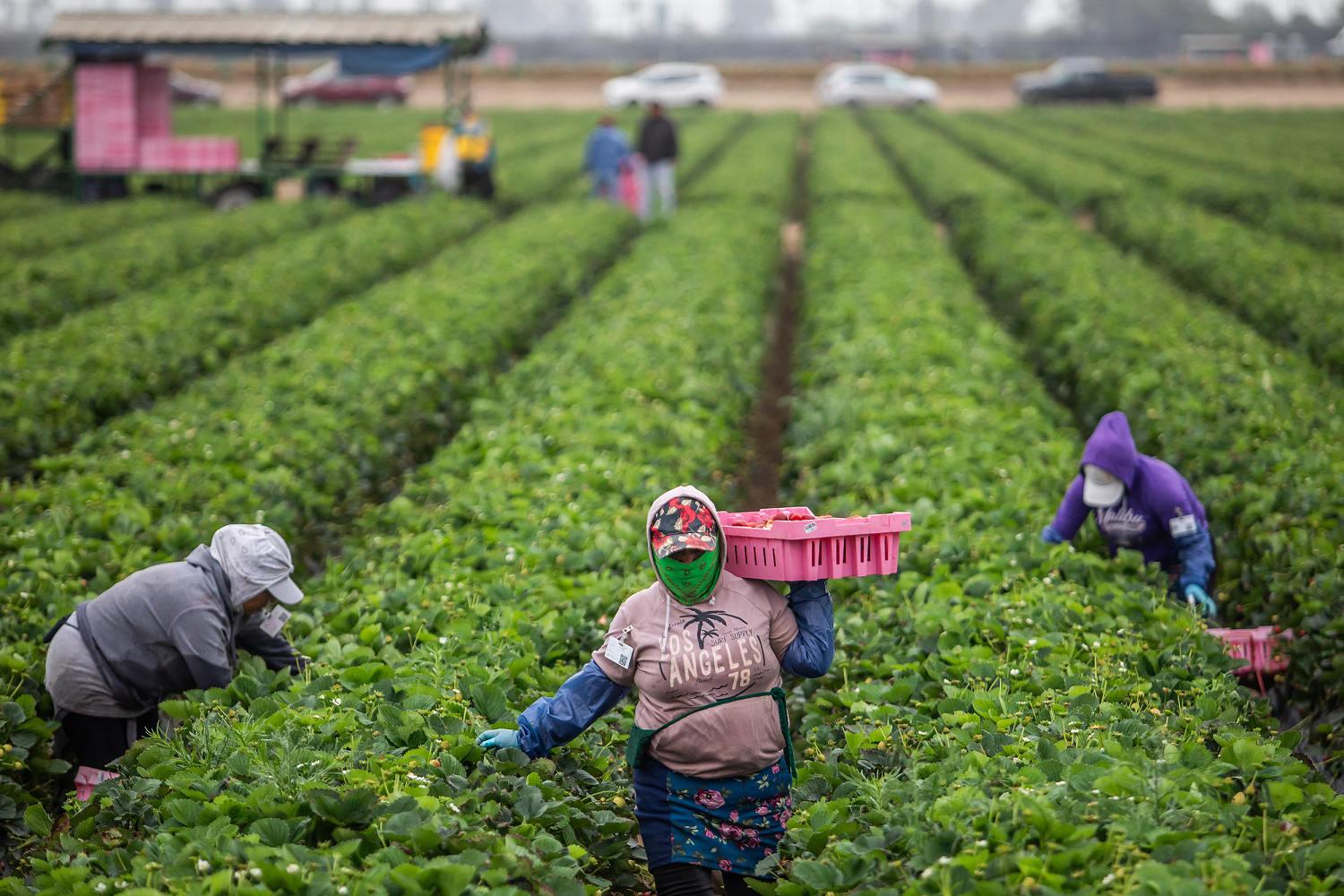 Tariffs and deportations are contributing to rising prices and fewer immigrant workers