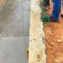 Q&A: Can wastewater surveillance work without sewers?