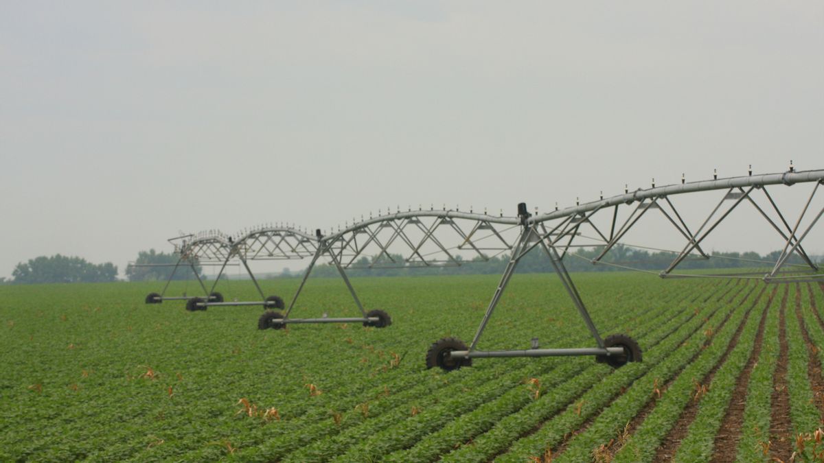 Debunking claim Nebraska is going bankrupt because of tariffs and labor shortages due to immigration raids