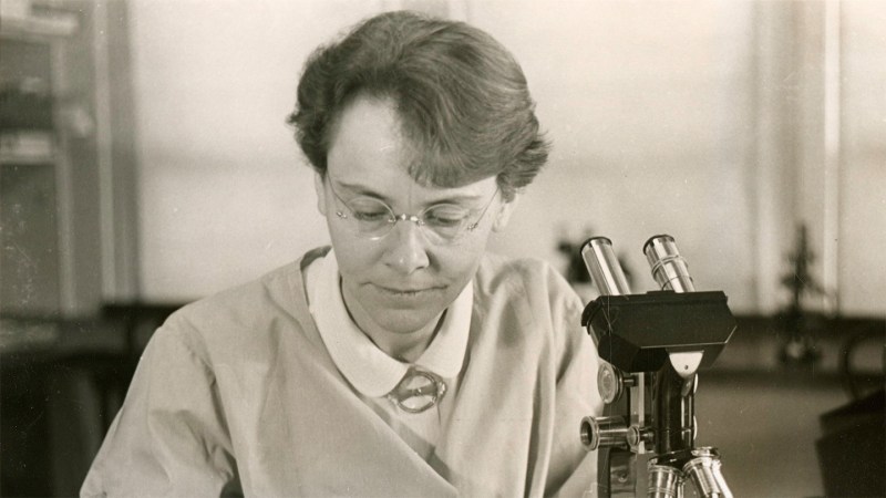 Scientists are people too, a new book reminds readers