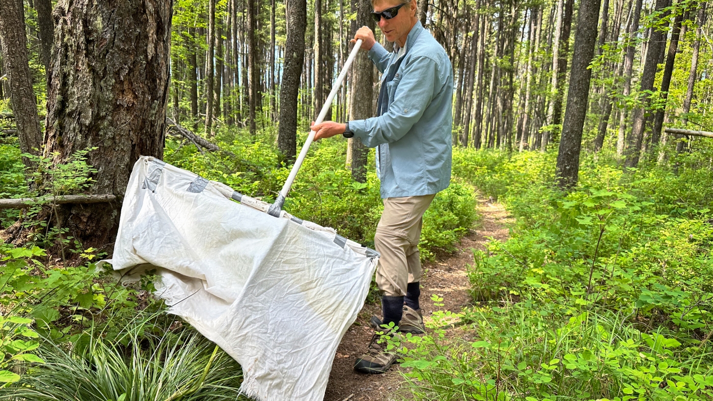 Ticks are migrating, but scant surveillance may leave doctors in the dark on patient treatment