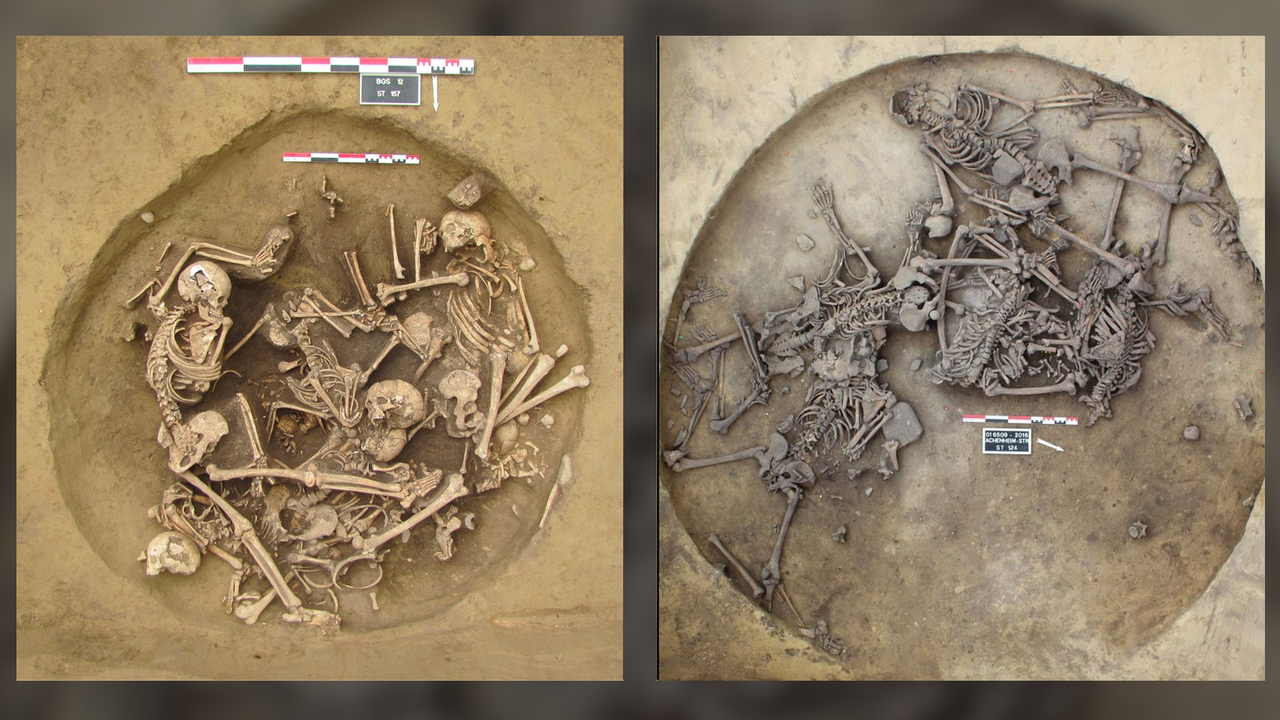 6,300 years ago, dozens of people were murdered in grisly victory celebrations in France