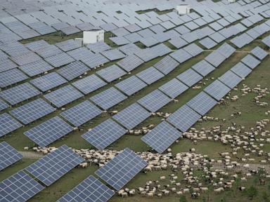 China races to build world’s largest solar farm to meet emissions targets