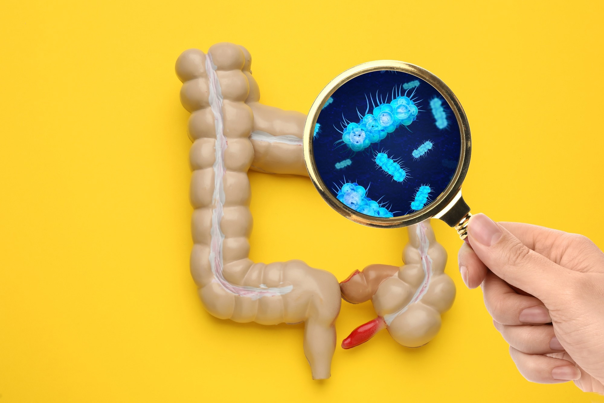 Gut bacteria in mothers and newborns may shape infants’ risk of early respiratory infections