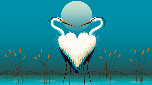 Do Beautiful Birds Have an Evolutionary Advantage?