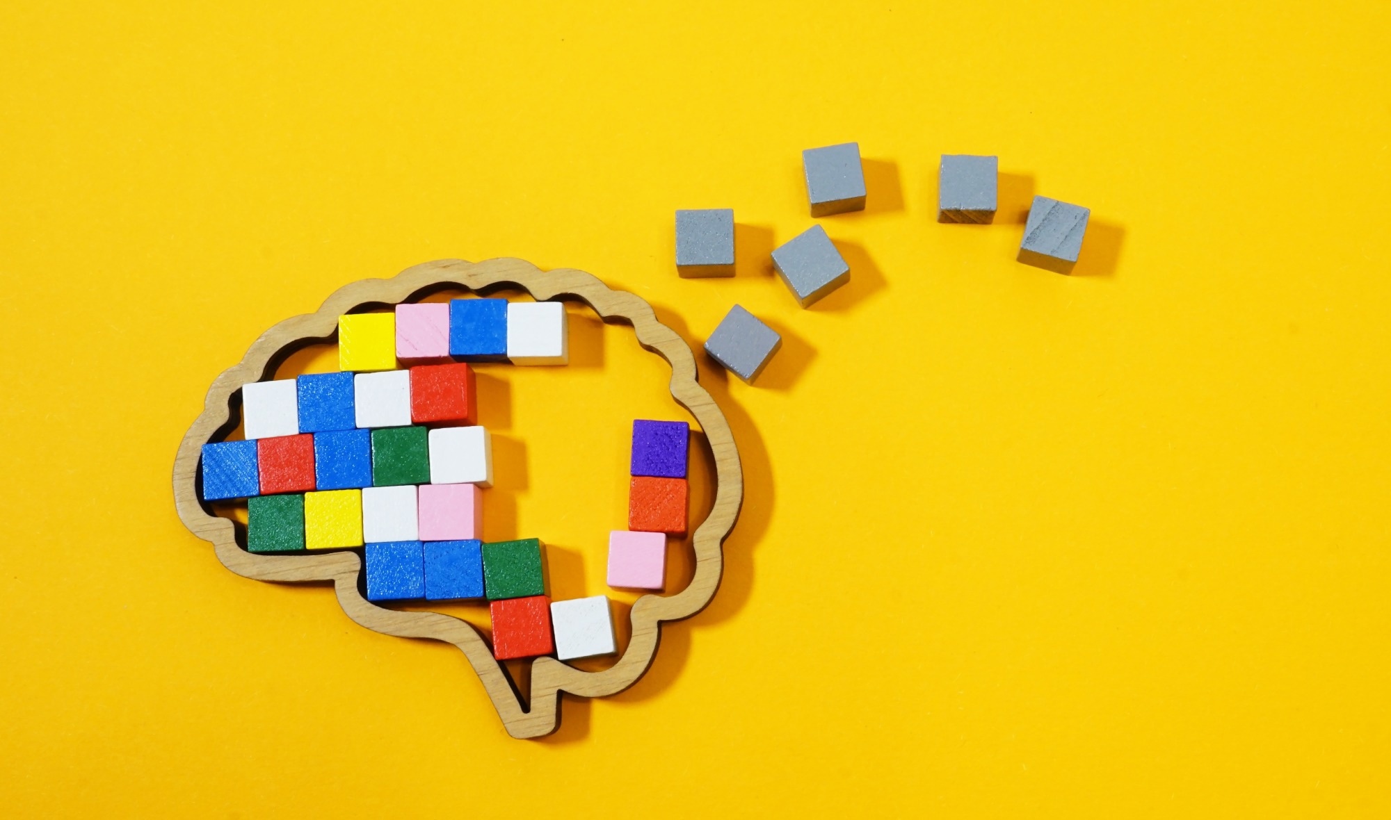 Neuroscientists split on whether memories can be extracted from preserved brains