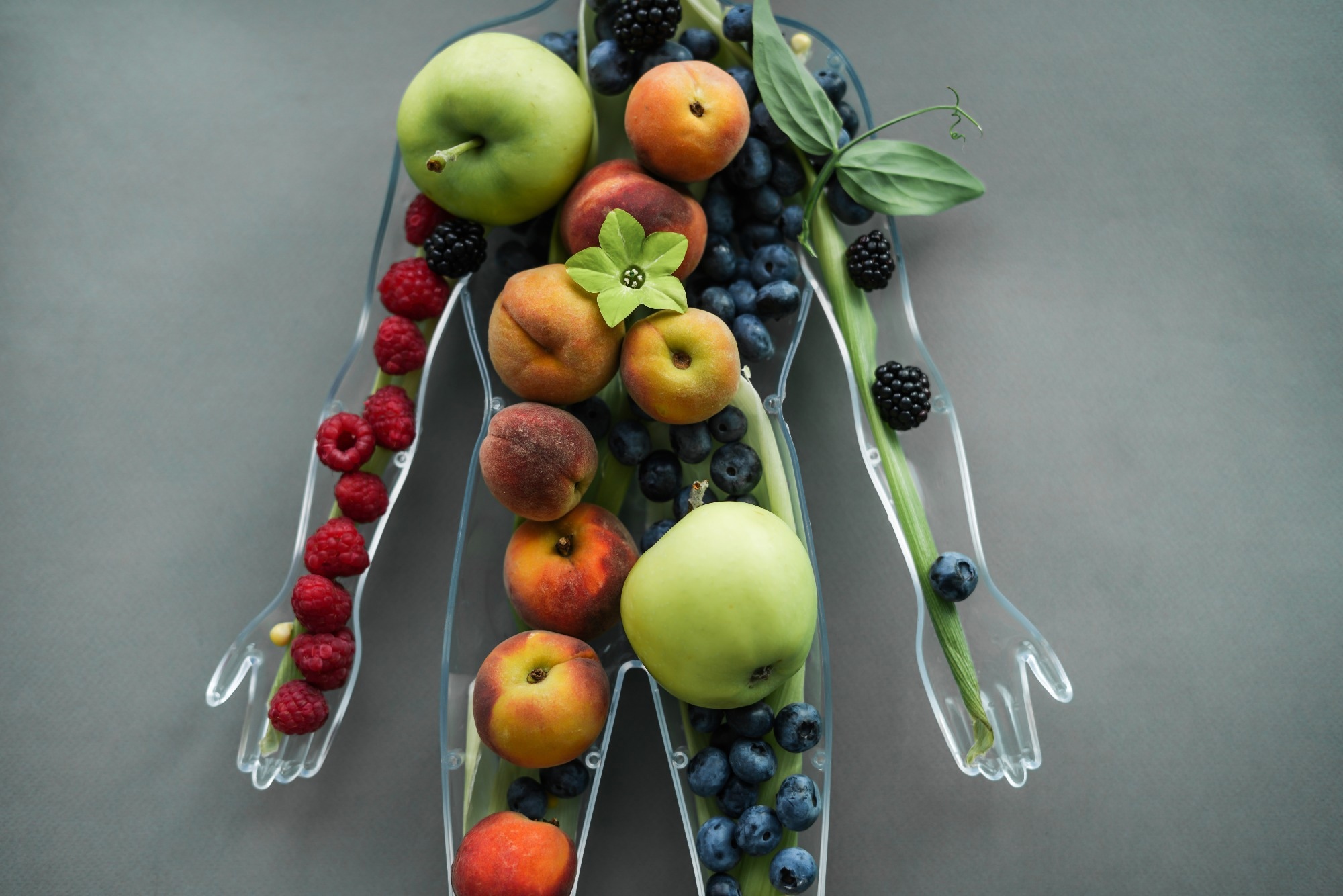 Seattle’s Fresh Bucks program boosts food security and diet but benefits fade when funding ends