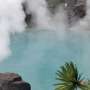 Yogurt and hot spring bathing show a promising combination for gut health