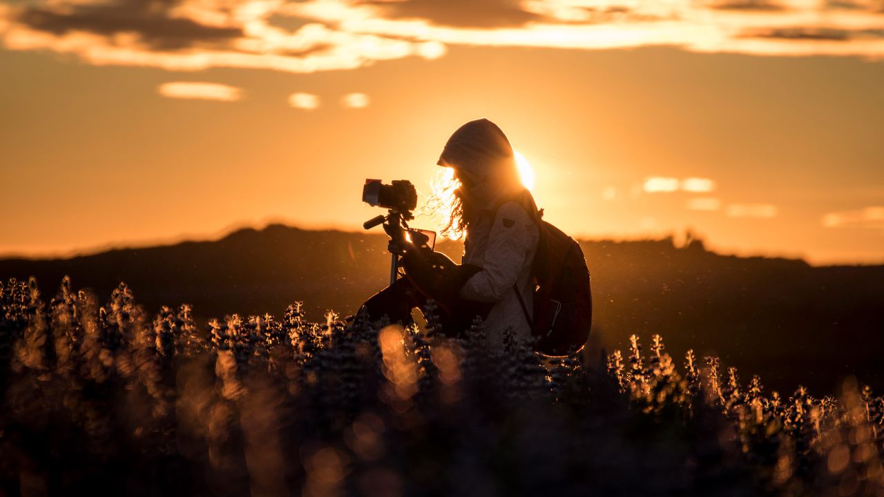 Exposure triangle explained: A photographer’s guide to mastering light
